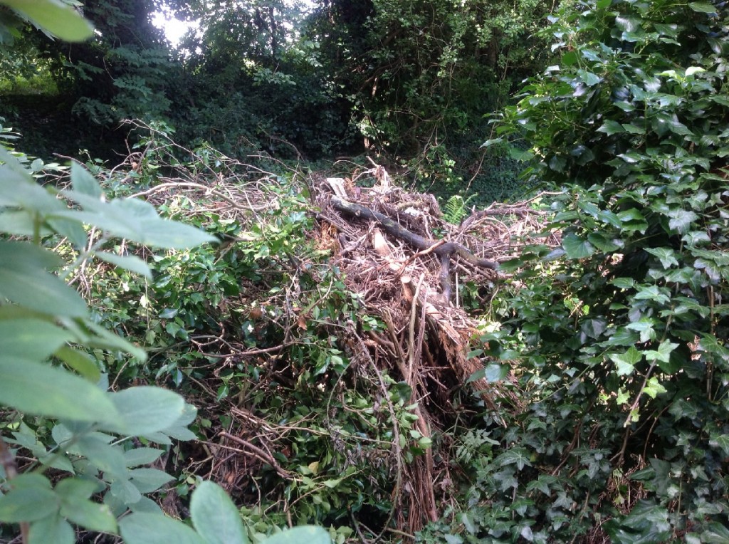 24/07/2013 Debris piled up by side of Dyke alongside footpath off Nottingham Road by Peter Bristow