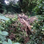 24/07/2013 Debris piled up by side of Dyke alongside footpath off Nottingham Road by Peter Bristow