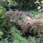 24/07/2013 Debris piled up by side of Dyke alongside footpath off Nottingham Road by Peter Bristow