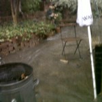 IMG00724-20130723-1911
