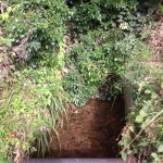 24/07/2013 Taken from Nt.Road showing Dyke about to go under road with debris and undergrowth by Peter Bristow