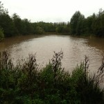 28/10/2013 – Starkey Pond