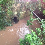 28/10/2013 @ 07:55 – Entrance to Hallaughton Road Culvert