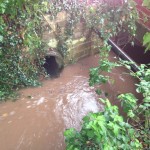 28/10/2013 @ 07:55 - Entrance to Hallaughton Road Culvert