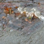 Drain on Halloughton Road near Nottingham Road not coping with surface water