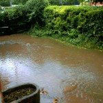 Garden of house opposite Co-op