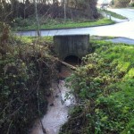 Springfield Dumble beside Nottingham Road where Park Lane water joins it