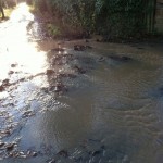 Upstream of access bridge to No 1 Park Lane 2