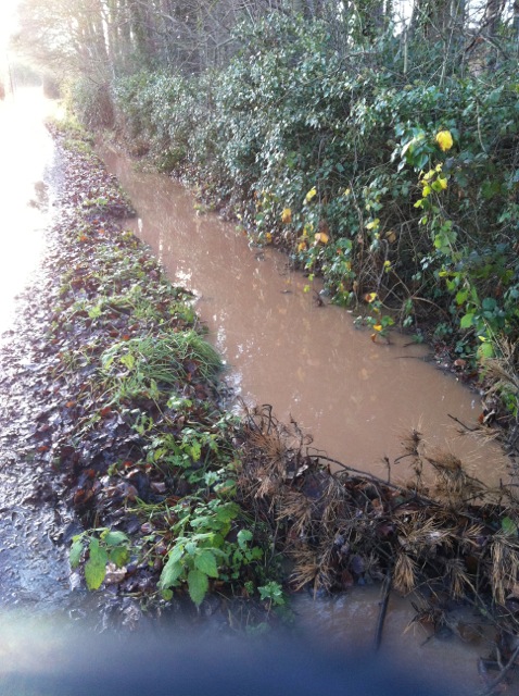 Full ditch between N01 Park Lane and public footpath4