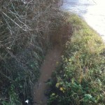 Ditch downstream of SRUFC entrance Park Lane