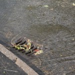 19/07/2014 Drain around Lower Kirklington Road / Leeway Road Junction