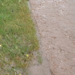 19/07/2014 Water overflow onto verge and pavement from Halam Road