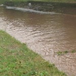 19/07/2014 Water overflow onto verge and pavement from Halam Road