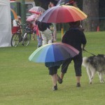 Rainbow Umbrellas