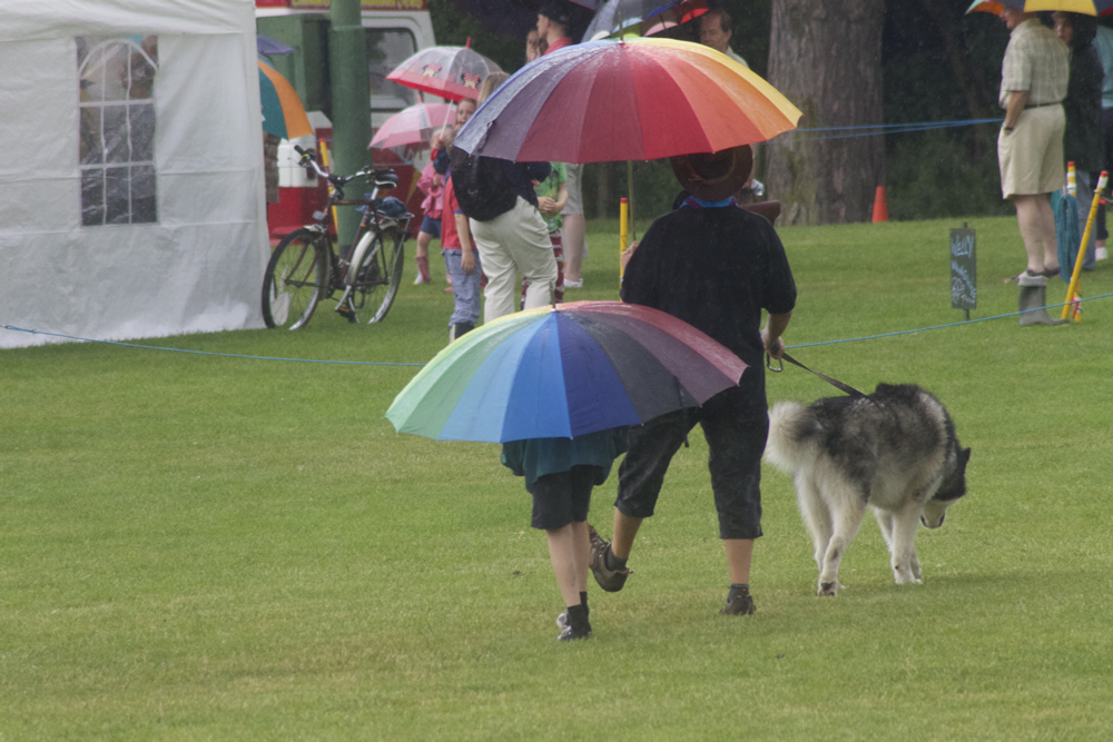 Rainbow Umbrellas