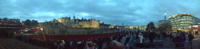 Tower and poppies