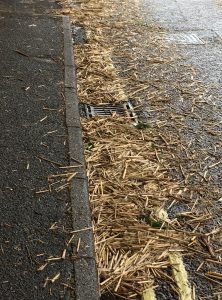 IMG_4077