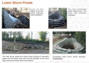 Lowes Wong Lower Storm ponds